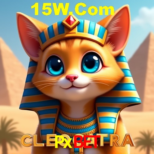 Responsive Design Pxbet