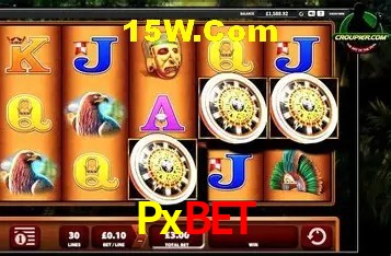 Benefícios da Conta Pxbet